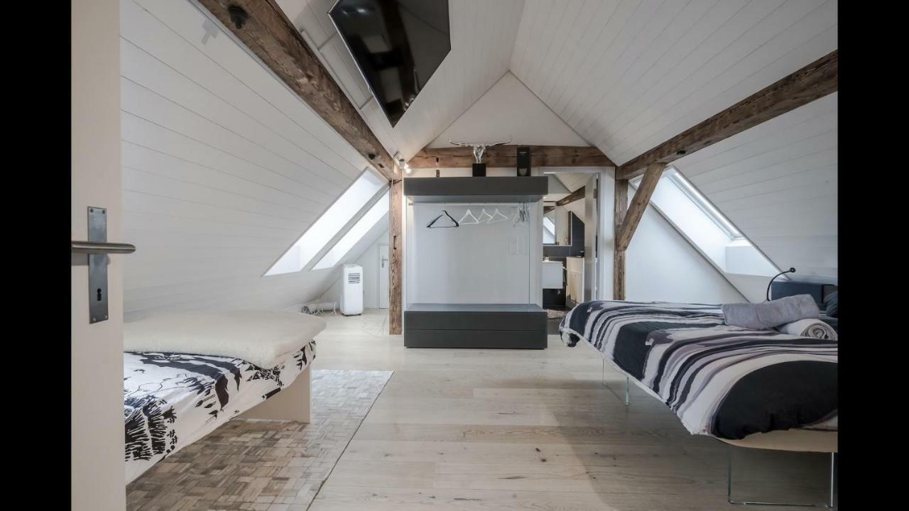 Luxury Penthouse Apartment Zürich Eksteriør billede