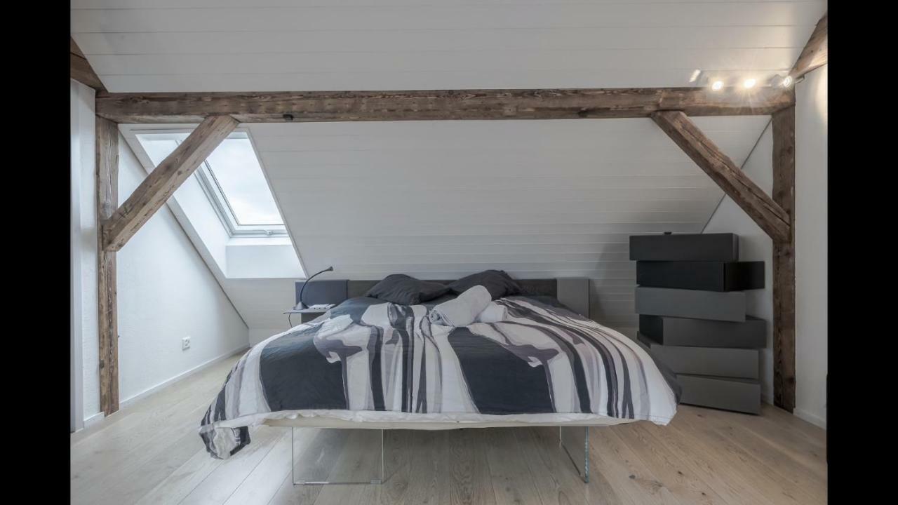 Luxury Penthouse Apartment Zürich Eksteriør billede